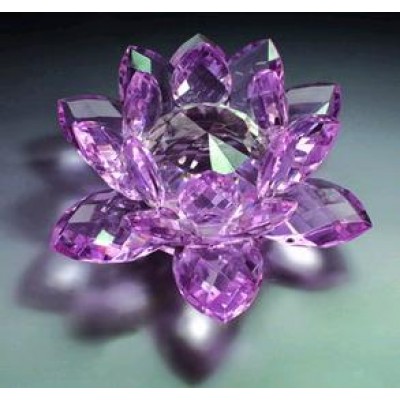 CRYSTAL CRAFTS-IGT-CR0001